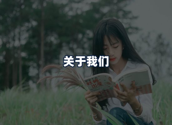 关于我们